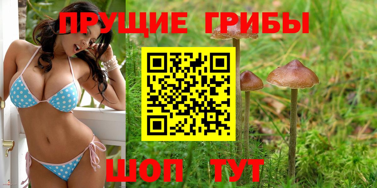 Галлюциногенные грибы мухоморы  Псилоцибиновые грибы Cubensis  Нарткала  Вход с VPN 